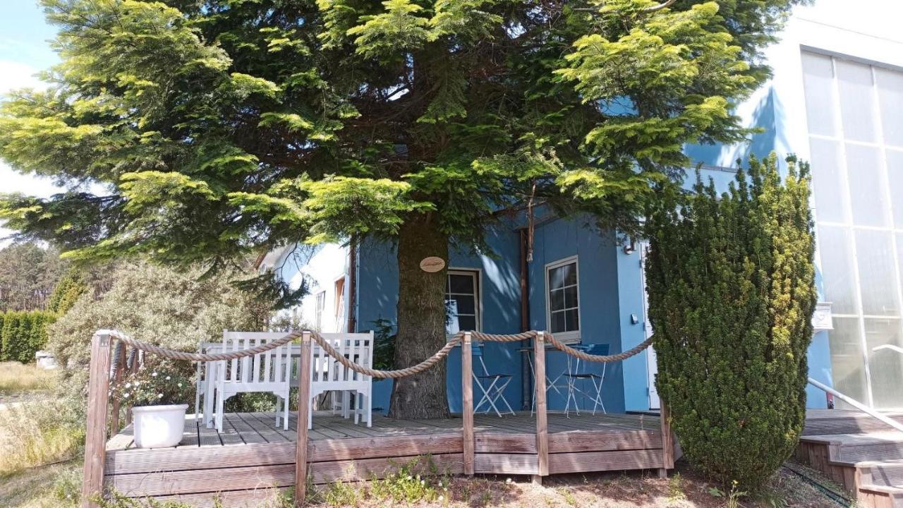 Ferienwohnung Naturparadies Gnitz Lutow Eksteriør billede